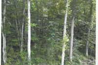 Land for sale in Clay County, Kentucky