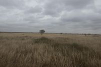 Land for sale in Lubbock County, Texas