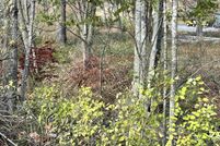 Land for sale in Randolph County, West Virginia