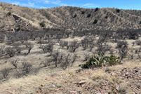 Land for sale in Santa Cruz County, Arizona