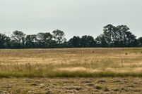 Land for sale in Craighead County, Arkansas