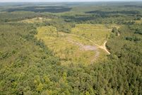 Undeveloped Land for sale in Calhoun County, Mississippi