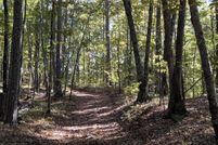 Land for sale in Talladega County, Alabama