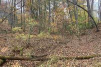 Undeveloped Land for sale in Randolph County, West Virginia