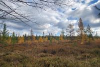 Land for sale in Clare County, Michigan