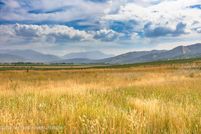 Undeveloped Land for sale in Teton County, Idaho