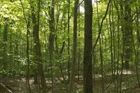 Land for sale in Providence County, Rhode Island