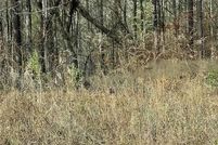 Land for sale in Pickens County, Georgia