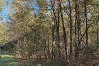 Land for sale in Tuscaloosa County, Alabama
