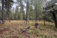 Undeveloped Land for sale in Benewah County, Idaho