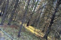 Homesite for sale in Deschutes County, Oregon