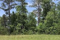 Undeveloped Land for sale in Spalding County, Georgia