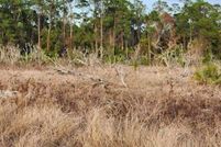 Land for sale in Polk County, Florida