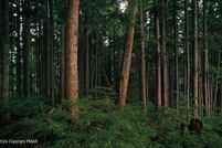 Homesite for sale in Monroe County, Pennsylvania