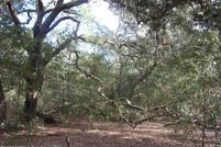 Land for sale in Putnam County, Florida