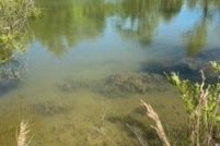 Farm and Ranch for sale in Montgomery County, Alabama