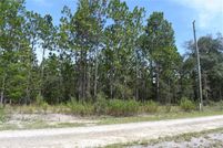 Land for sale in Levy County, Florida