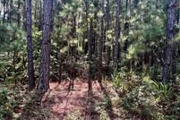 Undeveloped Land for sale in Paulding County, Georgia