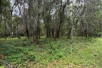 Land for sale in Citrus County, Florida