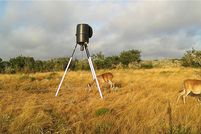 Land for sale in Duval County, Texas