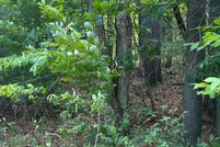 Land for sale in Essex County, New York