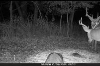 Recreational Property for sale in Allen County, Kansas