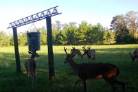 Land for sale in Madison County, Florida