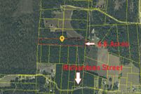 Undeveloped Land for sale in Orangeburg County, South Carolina