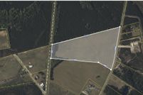 Land for sale in Williamsburg County, South Carolina