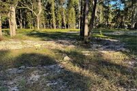 Land for sale in Dixie County, Florida