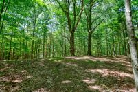 Land for sale in Allegan County, Michigan