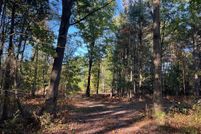 Land for sale in Ottawa County, Michigan