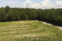 Undeveloped Land for sale in Alamance County, North Carolina