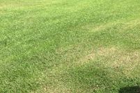 Land for sale in Hinds County, Mississippi