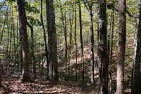 Land for sale in Jefferson County, Mississippi
