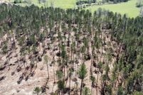 Undeveloped Land for sale in Simpson County, Mississippi