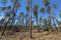 Land for sale in Simpson County, Mississippi