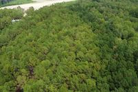 Undeveloped Land for sale in Harnett County, North Carolina