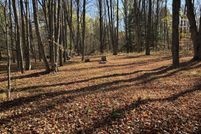 Land for sale in Osceola County, Michigan