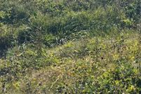 Land for sale in Ogle County, Illinois