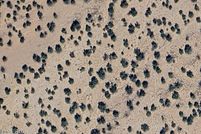 Land for sale in Apache County, Arizona