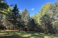 Undeveloped Land for sale in Arenac County, Michigan