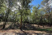 Undeveloped Land for sale in Cullman County, Alabama