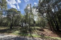 Undeveloped Land for sale in Cullman County, Alabama