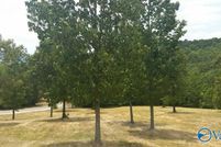 Land for sale in Cherokee County, Alabama