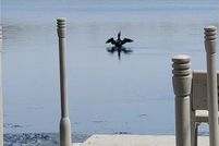 Undeveloped Land for sale in Stearns County, Minnesota