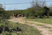 Land for sale in Hidalgo County, Texas