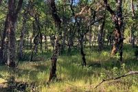 Land for sale in Lake County, California