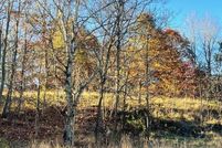 Homesite for sale in Manistee County, Michigan
