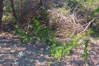 Undeveloped Land for sale in Navarro County, Texas